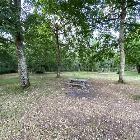 En Bois Sur Grand Parc Arbore Proche De L Ocean *