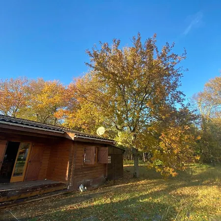 En Bois Sur Grand Parc Arbore Proche De L Ocean 度假居