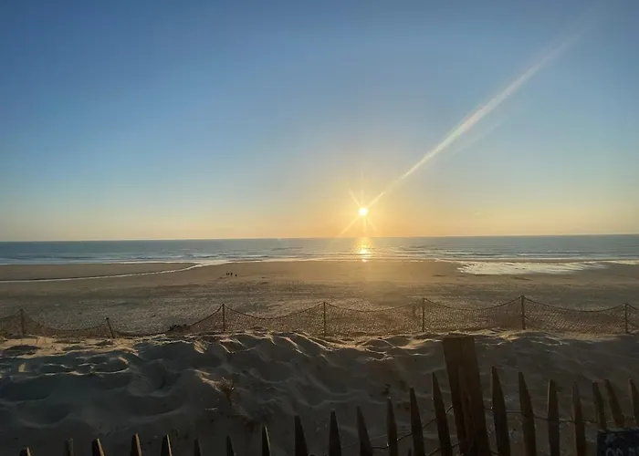 En Bois Sur Grand Parc Arbore Proche De L Ocean *