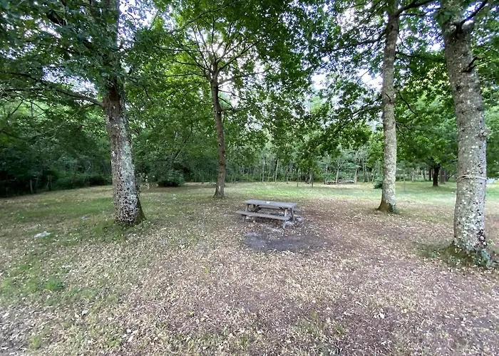 En Bois Sur Grand Parc Arbore Proche De L Ocean *